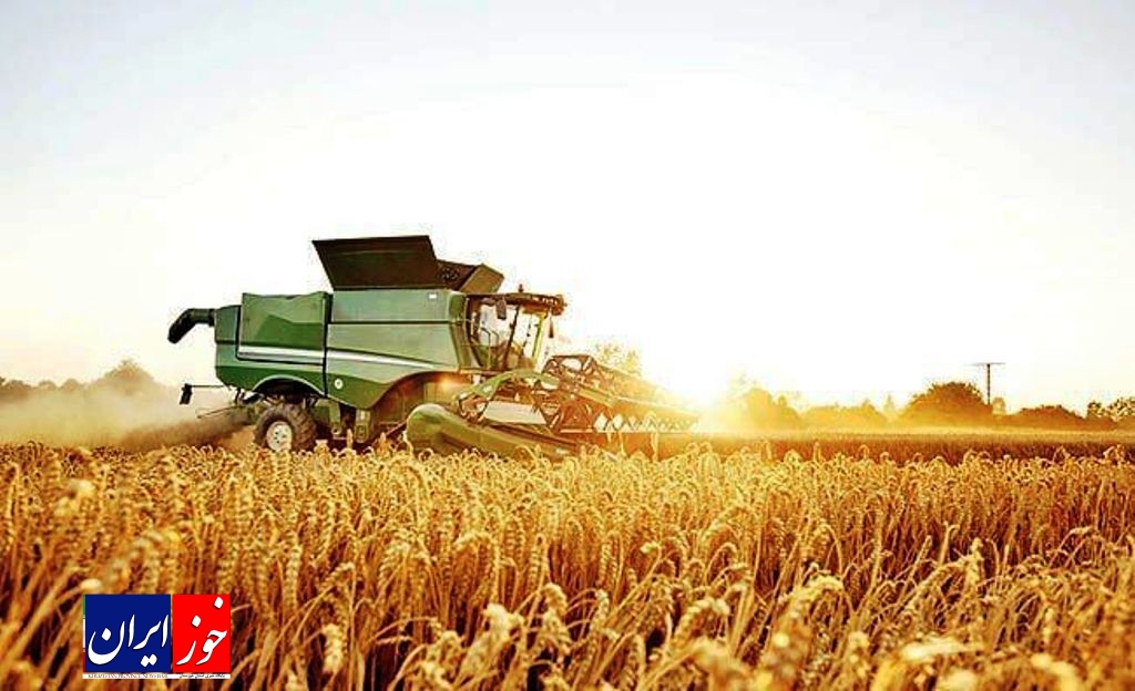 پیش بینی برداشت ۳۶ هزار تن گندم در خرمشهر