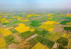 رفع تصرف بیش از ۸۲ هزار مترمربع از اراضی ملی در خوزستان