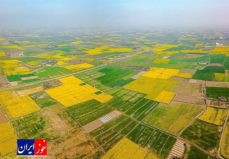 رفع تصرف بیش از ۸۲ هزار مترمربع از اراضی ملی در خوزستان