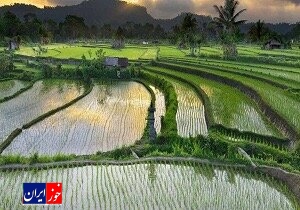 چهارمین شورای جهانی آبیاری در مالزی برگزار می‌شود